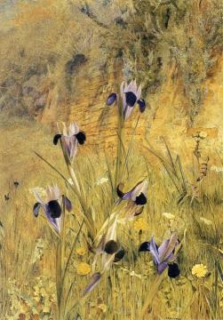 Irises in the Garden Artwork by Henry Roderick Newman