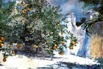 Orange Tree, Nassau Artwork by Winslow Homer