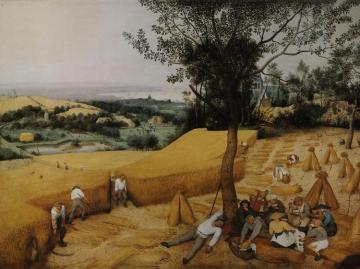 The Harvesters Artwork by Pieter Bruegel the Elder