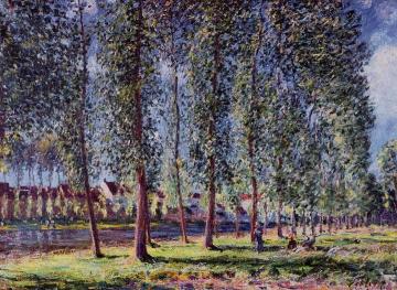 Lane of Poplars at Moret Artwork by Alfred Sisley