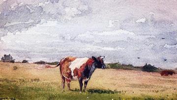 Landscape With Cow Artwork by Winslow Homer