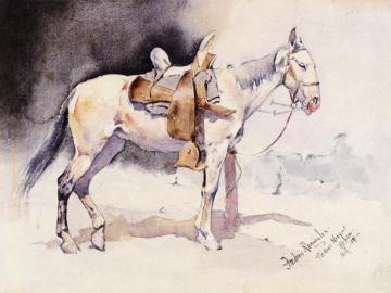 Mexican Pony - Piedras Neagras Artwork by Frederic Remington