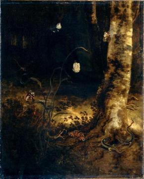 Forest floor still life with butterflies and reptiles Artwork by Otto van Schrieck
