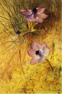Florentine Wild Anemones Artwork by Henry Roderick Newman