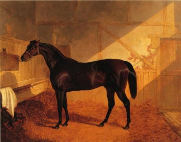 Mr. Johnstone's "Charles XII" in a Stable Artwork by John Frederick Herring, Sr