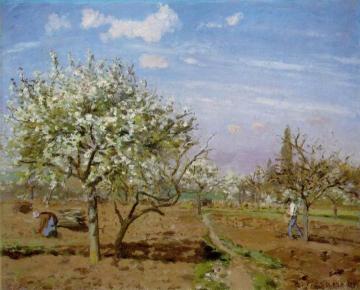 Orchard in Blossom, Louveciennes Artwork by Camille Pissarro