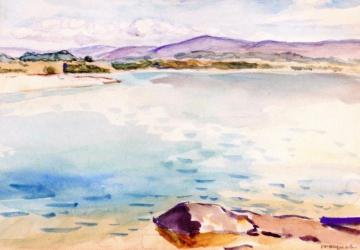 View of the Coast Artwork by Albert Marquet