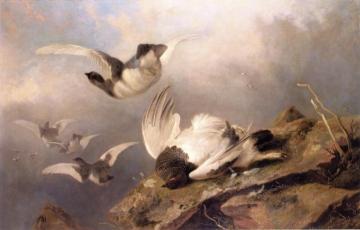 Ptarmigan Artwork by Richard Ansdell