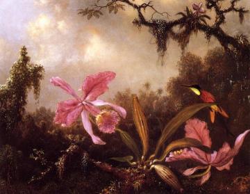Orchids And Crimson Topaz Hummingbird Artwork by Martin Johnson Heade