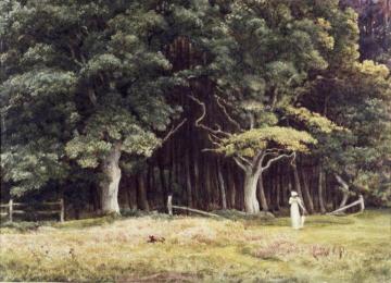 The Wooded Landscape Artwork by Sir Edward John Poynter