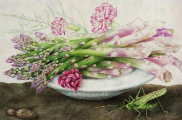 Plate Of Asparagus With Carnations And A Grasshopper Artwork by Giovanna Garzonni