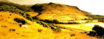 Bolinas Bay Artwork by Thaddeus Welch