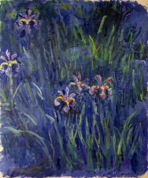 Irises Artwork by Claude Oscar Monet