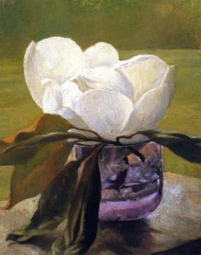 Magnolia Blossom Artwork by John La Farge