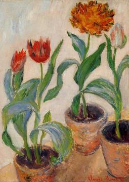 Three Pots of Tulips Artwork by Claude Oscar Monet