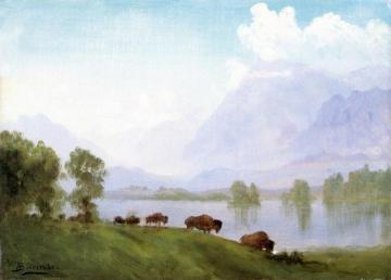 Buffalo Country Artwork by Albert Bierstadt