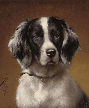 Study of a spaniel Artwork by Carl Reichert
