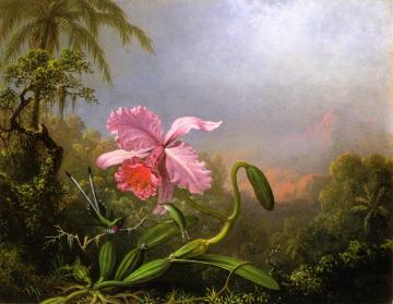 Two Hummingbirds by an Orchid Artwork by Martin Johnson Heade
