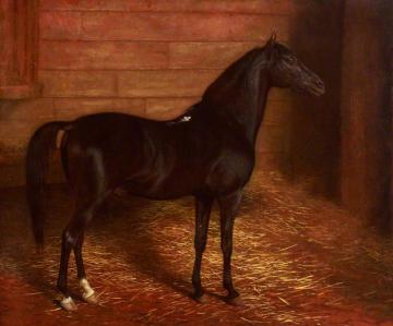 Arab Horse, the Second Sire Artwork by Jacques-Laurent Agasse