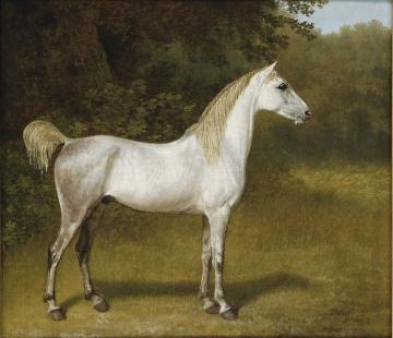 An Arab stallion in a landscape Artwork by Jacques-Laurent Agasse