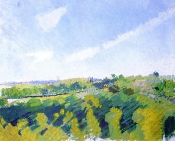 The Norman Coast Artwork by Raoul Dufy