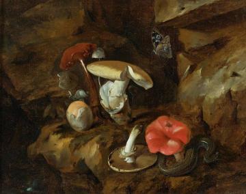 A Forest Floor Still Life With Mushrooms, A Snake And A Butterfly Artwork by Otto van Schrieck