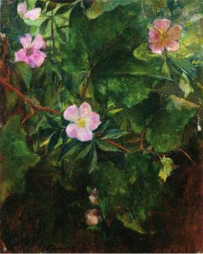 Wild Roses and Grape Vine, Study from Nature Artwork by John La Farge