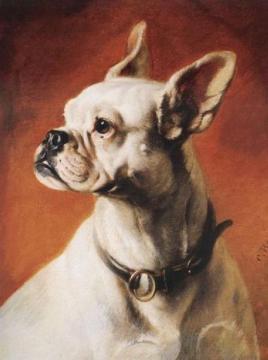 A French bulldog Artwork by Carl Reichert