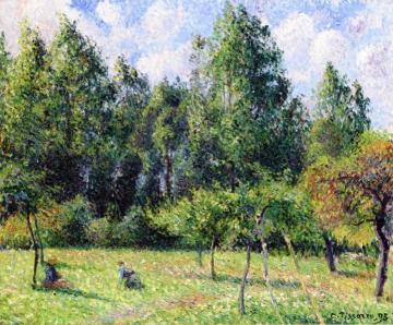Poplars, Morning, Eragny Artwork by Camille Pissarro