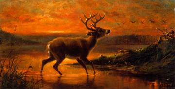 Ten Point Buck In Evening Twilight Artwork by Arthur Fitzwilliam Tait