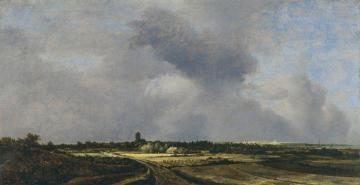 View Of Naarden Artwork by Jacob van Ruisdael