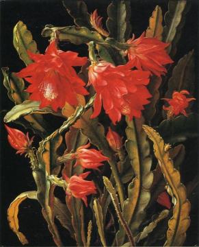 Cactus with Scarlet Blossoms Artwork by Christian Juel Mollback
