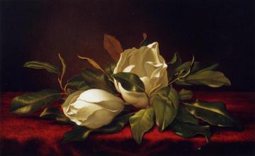 Magnoliae Grandeflorae Artwork by Martin Johnson Heade