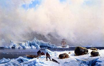 Seal Hunting In The Arctic Artwork by Franz Wilhelm Schiertz