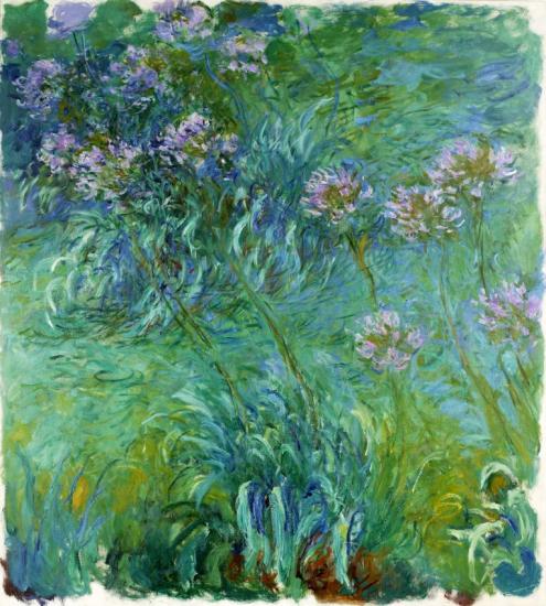 Agapanthus Artwork by Claude Oscar Monet