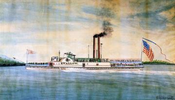 Swallow Artwork by James Bard