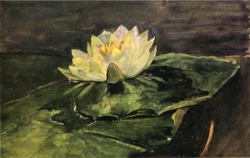 Water Lily Artwork by John La Farge