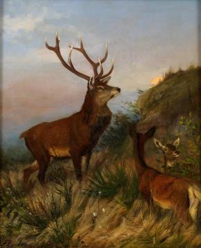 Deer Herd Artwork by Carl Friedrich Deiker