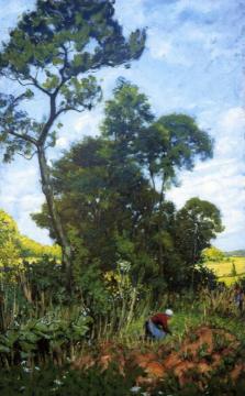 Work-out in Mississippi Grove Artwork by Kate Freeman Clark