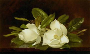 Magnolias on a Wooden Table Artwork by Martin Johnson Heade