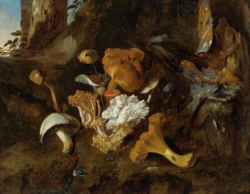 A Forest Floor Still Life with Mushrooms and a Snake Artwork by Otto van Schrieck