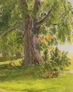 Sunny Oak Artwork by Ivan Ivanovich Shishkin