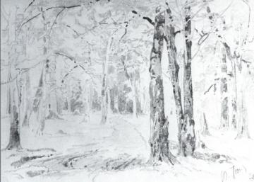 Path In A Forest Artwork by Ivan Ivanovich Shishkin