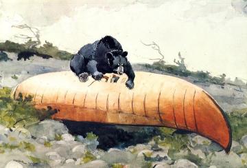 Bear and Canoe Artwork by Winslow Homer