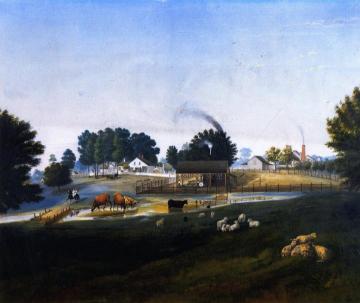 Prarie Sorrel Artwork by Marie Adrien Persac