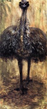Cassowary Artwork by Adolph von Menzel