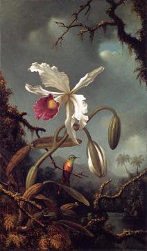 White Brazilian Orchid Artwork by Martin Johnson Heade