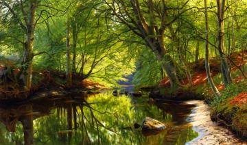Forest Stream Artwork by Peder Mork Monsted