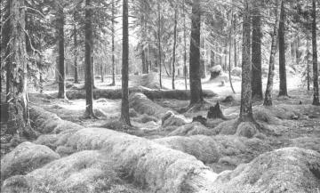 Woodland Cemetery Artwork by Ivan Ivanovich Shishkin