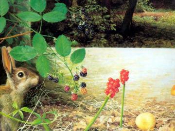 The Artist's Garden Artwork by Raymond Booth